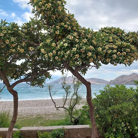 Moderne Mit Klima, Wifi Auf Der Insel Krk * 巴斯卡